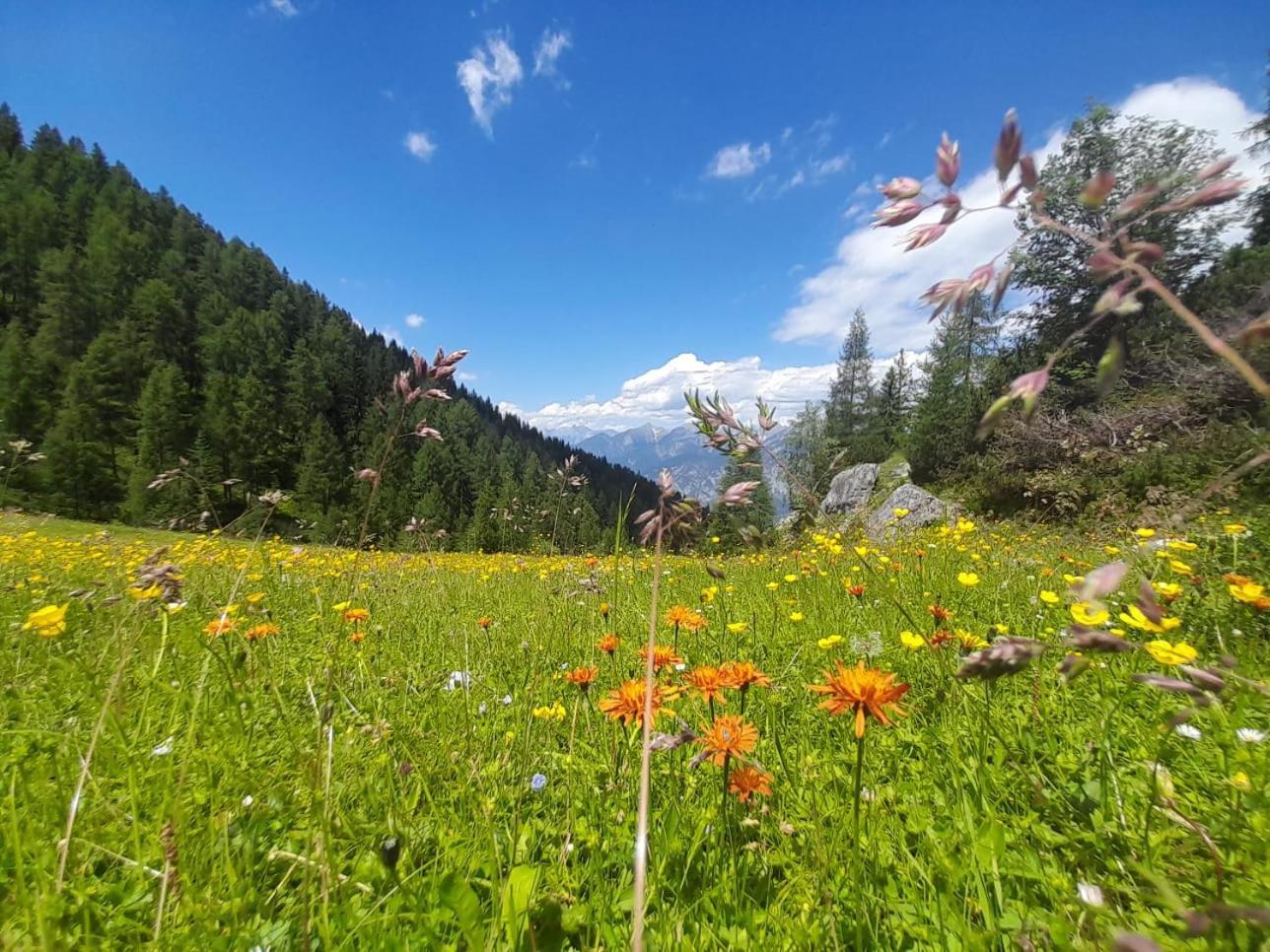Ferienwohnung Goetzner Auszeit Innsbruck Zewnętrze zdjęcie