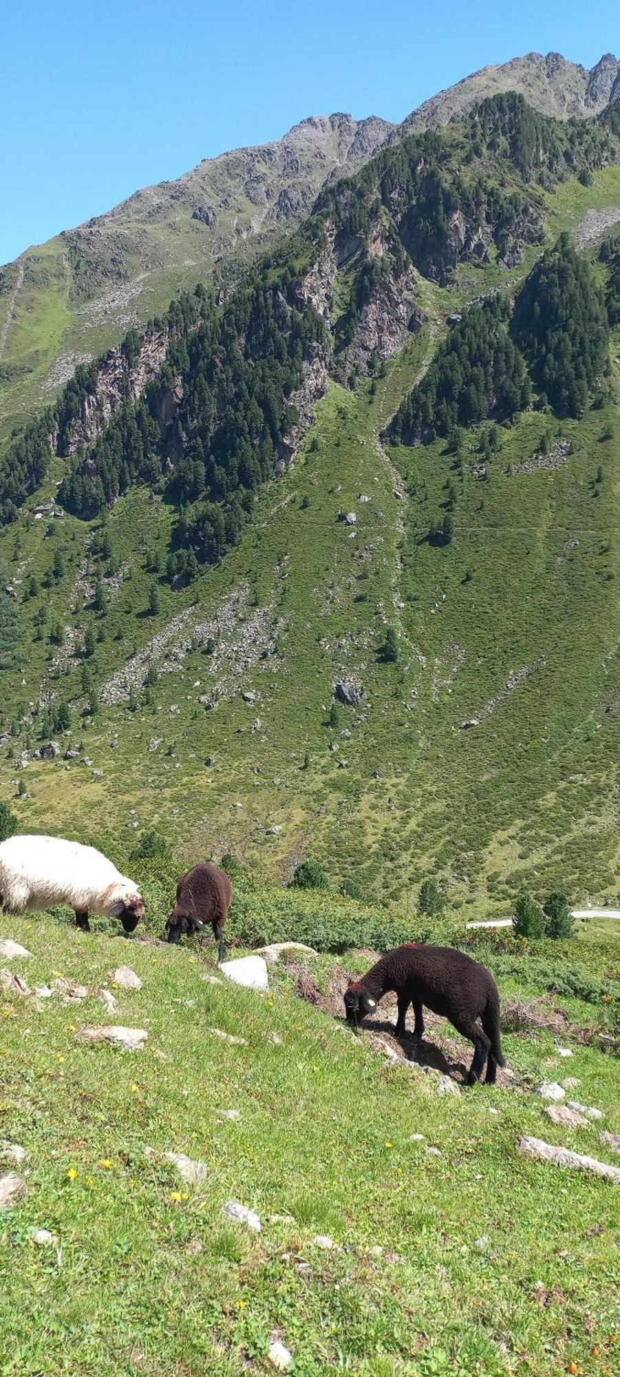 Ferienwohnung Goetzner Auszeit Innsbruck Zewnętrze zdjęcie