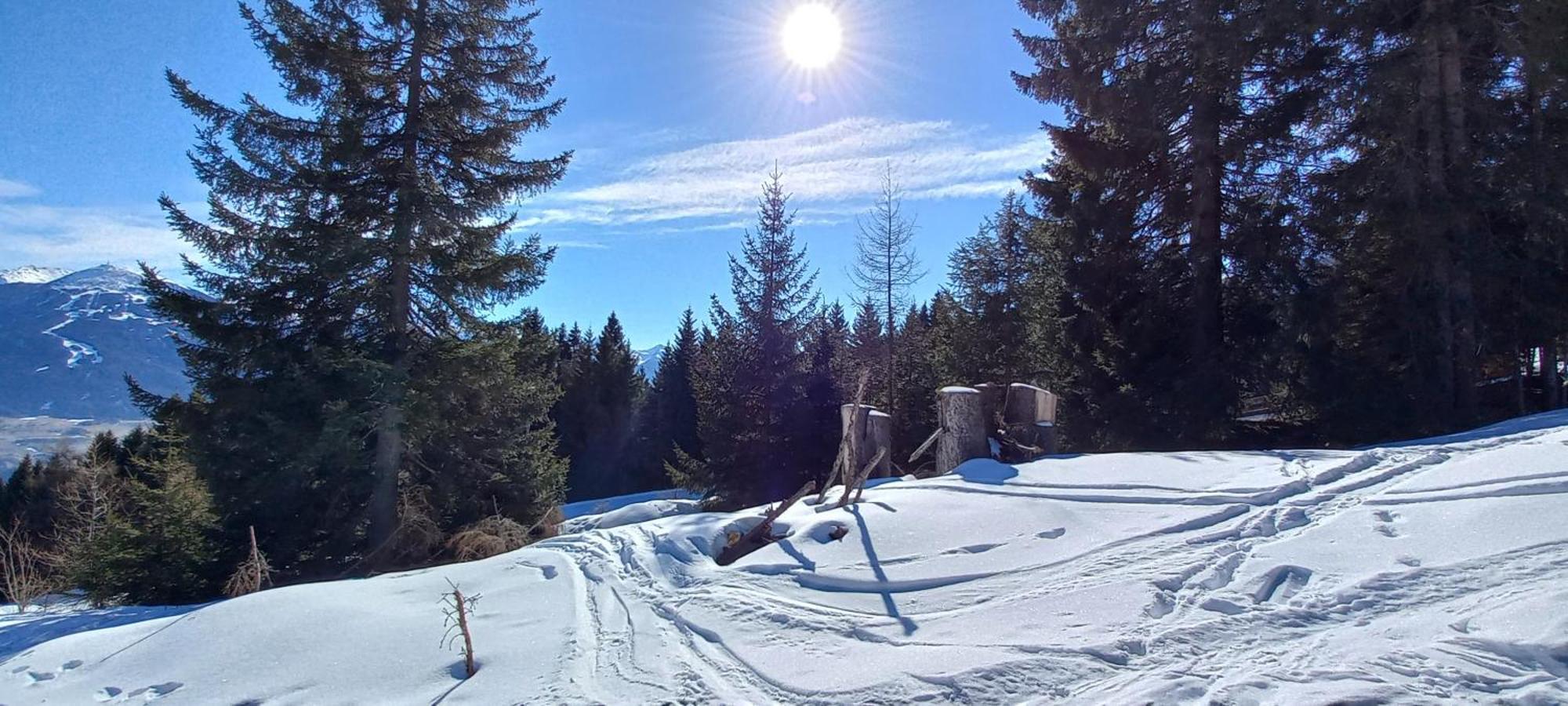 Ferienwohnung Goetzner Auszeit Innsbruck Zewnętrze zdjęcie